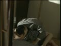 アダルト動画:名取裕子03